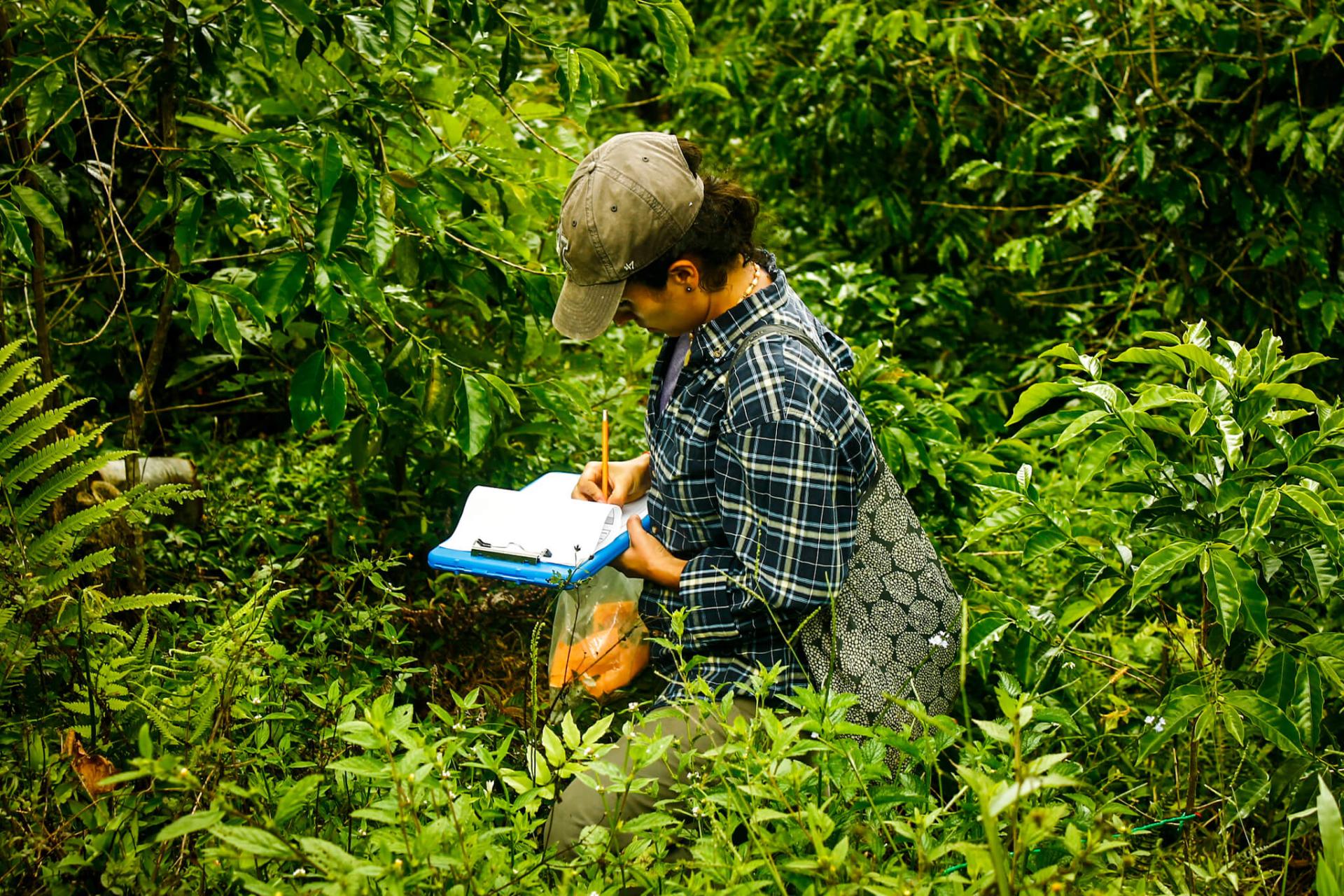 Alejandra Guzman Luna taking survey of agrobiodiversity