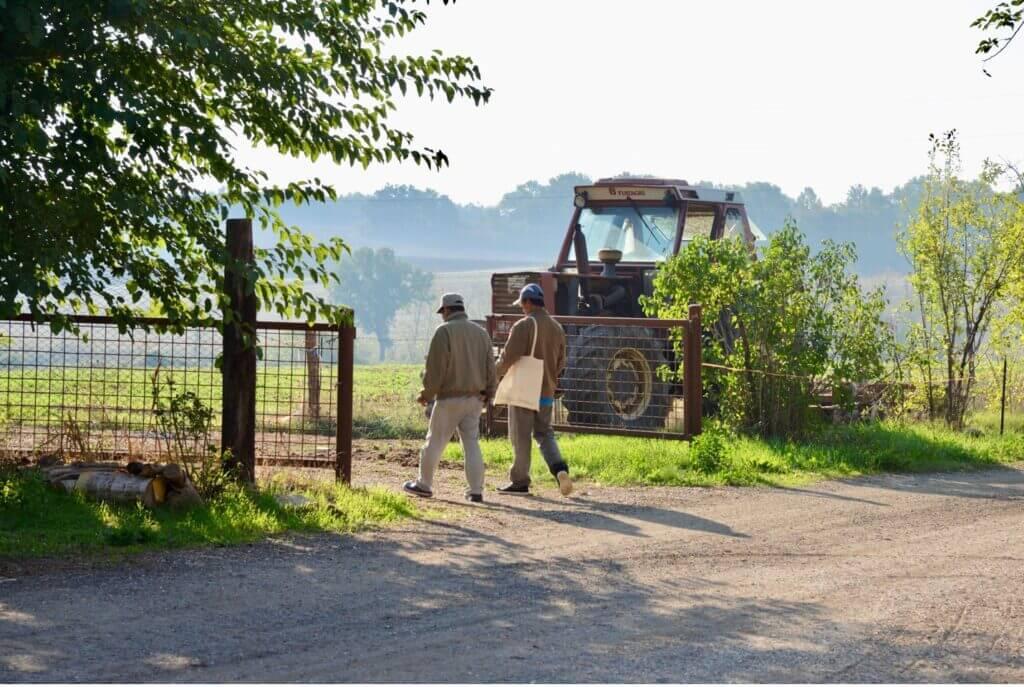 Two people walking together in farm field