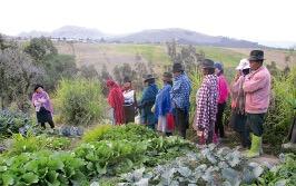 Group of farmers in Ecuador in field