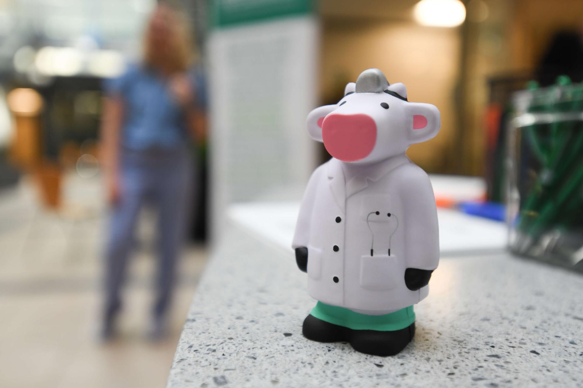 Dr. Moo (cow with a white coat and stethoscope) figurine
