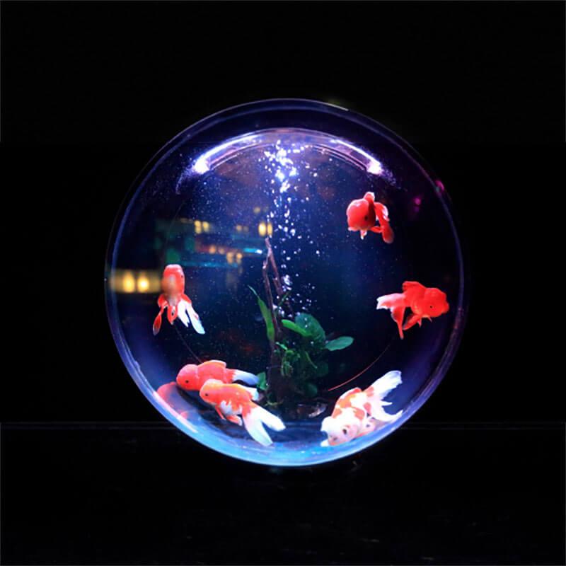 A round fishbowl with red goldfish on a black background