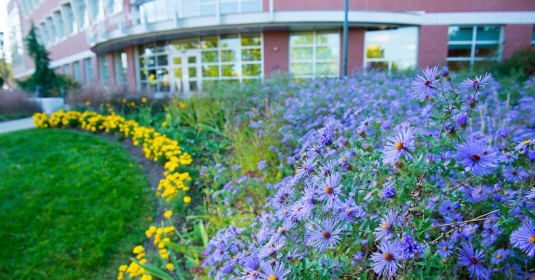 Parking lot side of Jeffords Hall with flowers in front of the building