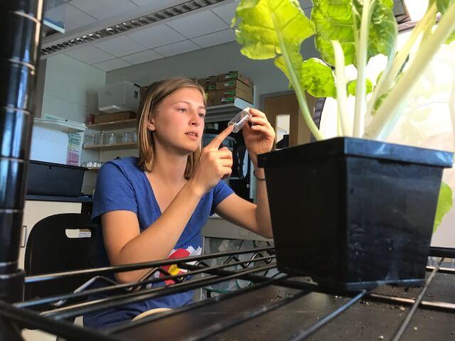 Student working in a lab