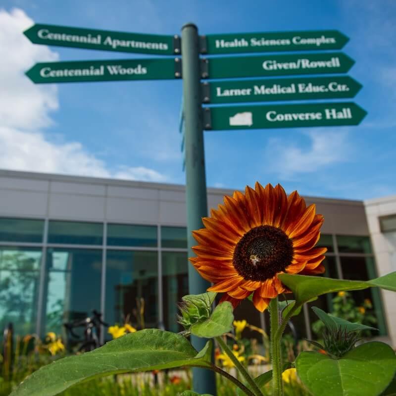 Sign pointing to UVM health sciences buildings with flower in foreground