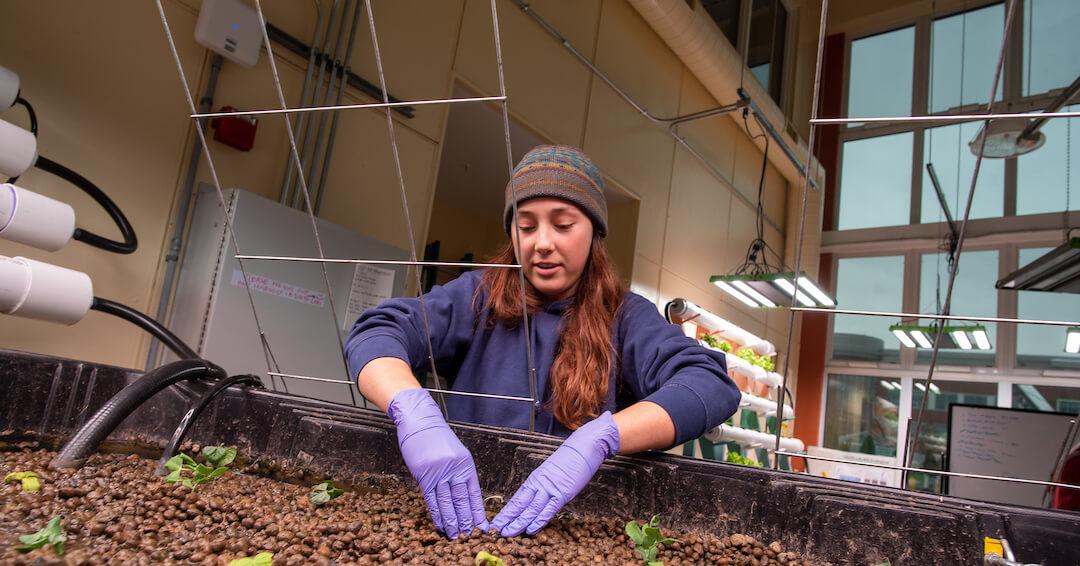 Student touching plants in Aiken lab