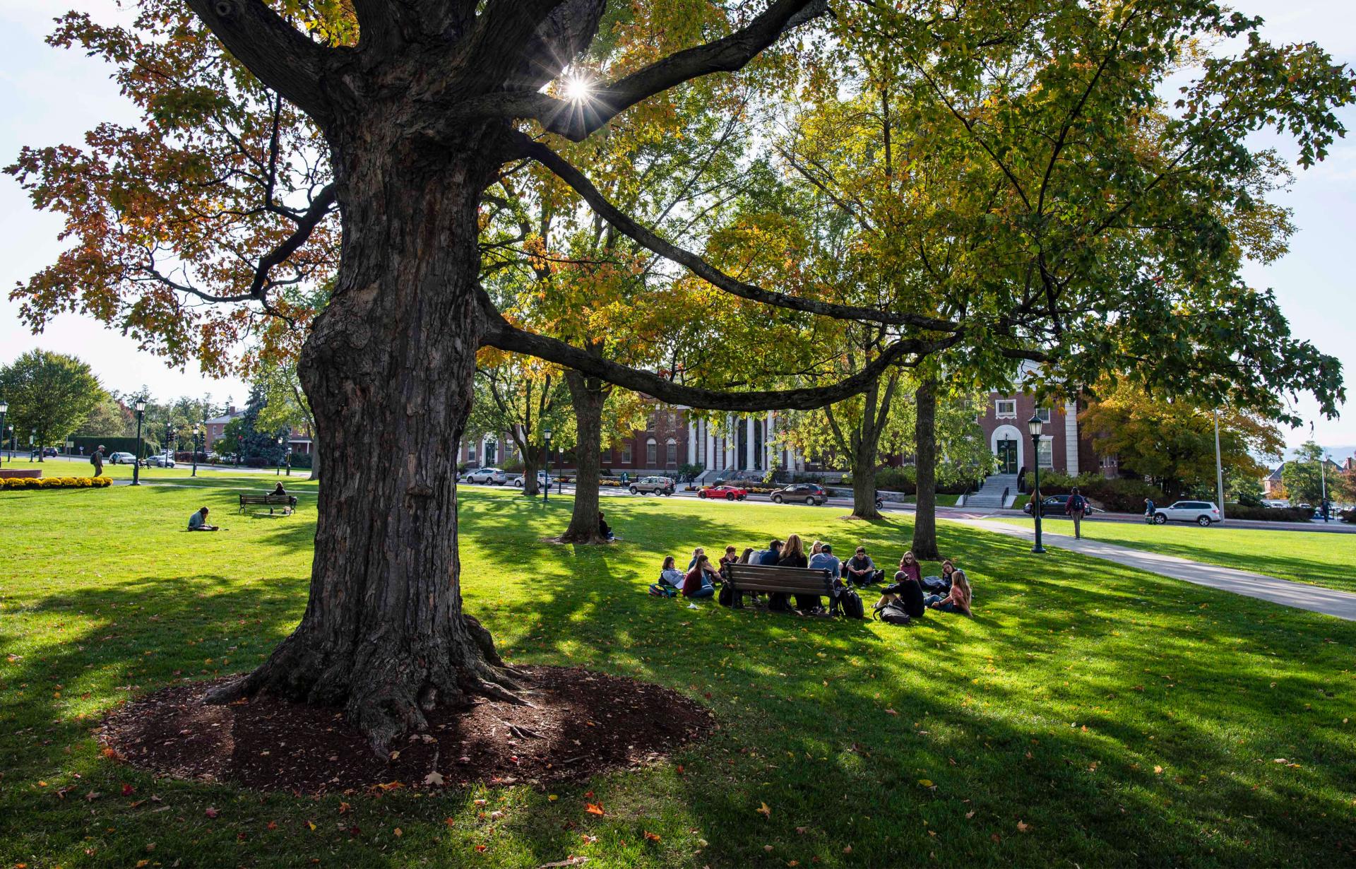 Waterman green