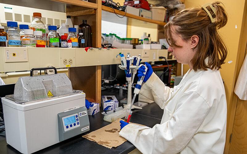Environmental student at work in the lab