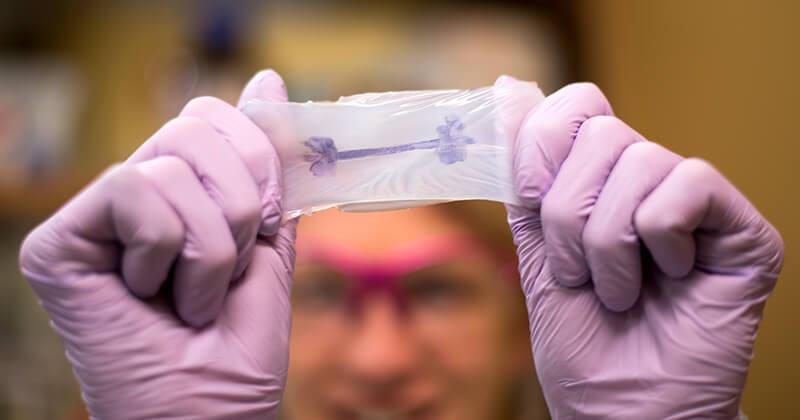 Researcher displaying newly developed Biomaterial