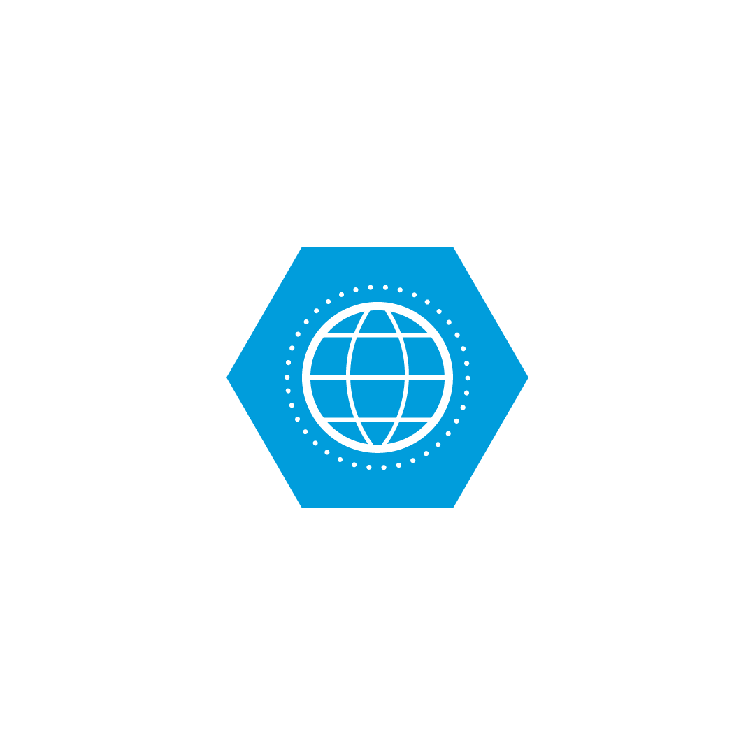 a blue hexagon with a circle in the middle in white, showing latitude and longitude lines