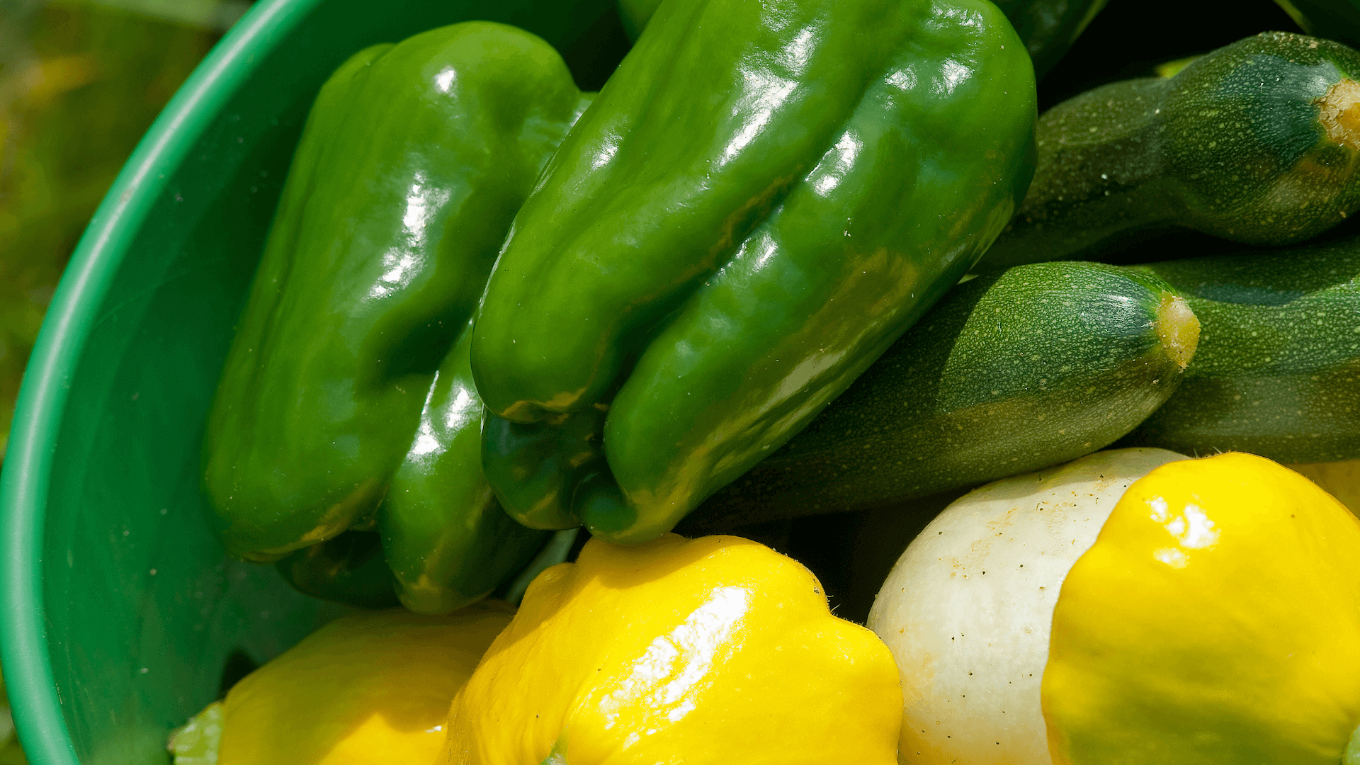 green peppers, zucchini, and yellow squash in a bowl