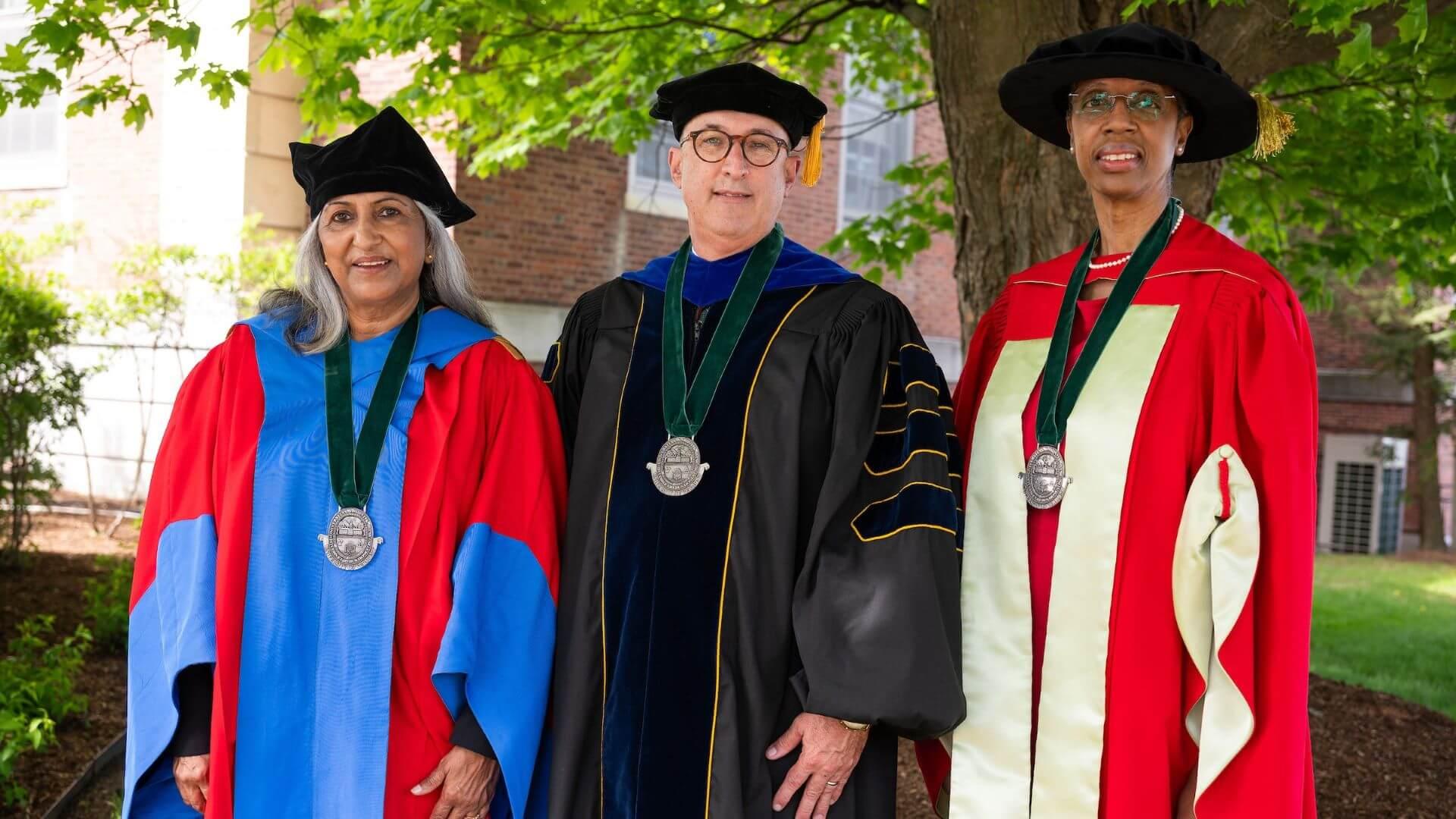 2024 distinguished professor award recipients posing together in regalia at commencement
