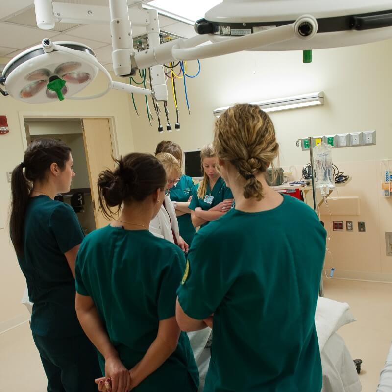 Nursing students observe in the clinical simulation lab