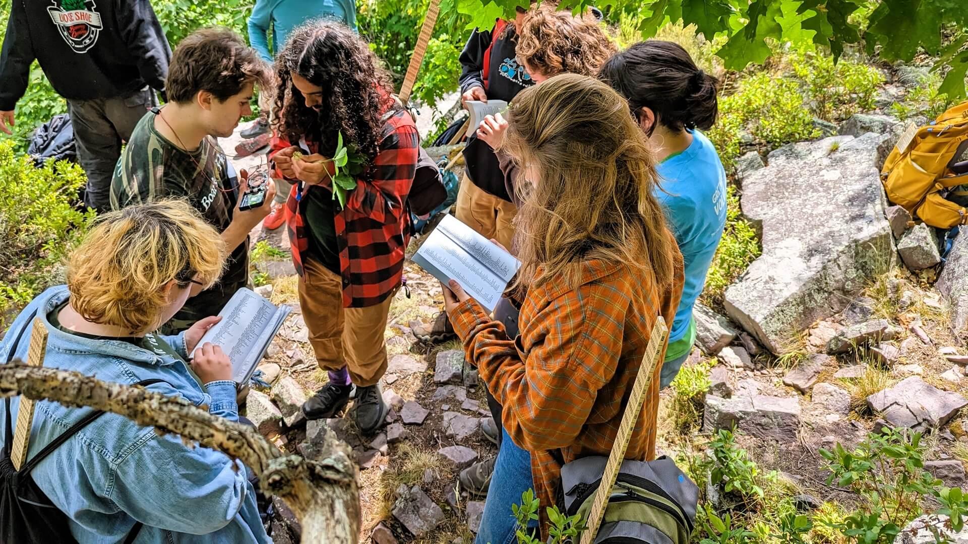 Students in the field looking at leaves and referencing guide books