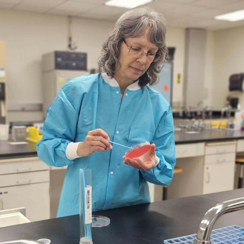 Lynn Willette swabs a petri dish