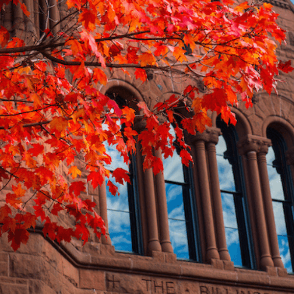Bright red fall leaves against a red brick building
