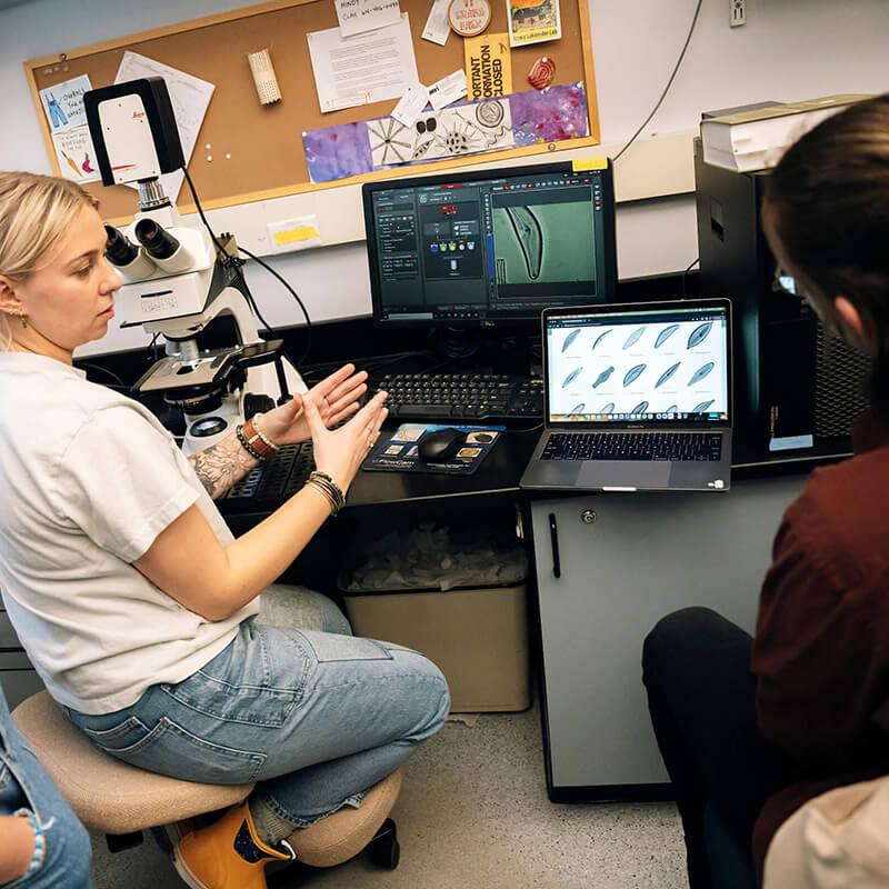 Students working in a lab.