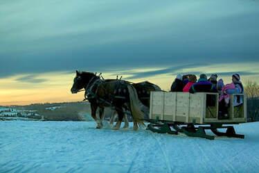 horses pulling a cart with tourists, in the snow at sunset