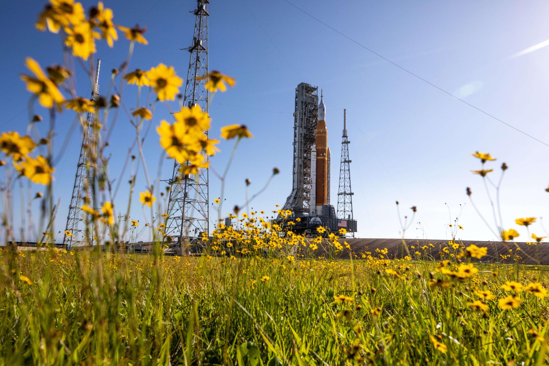 Artemis mission spacecraft, Orion, docked for launch behind a field of wildflowers
