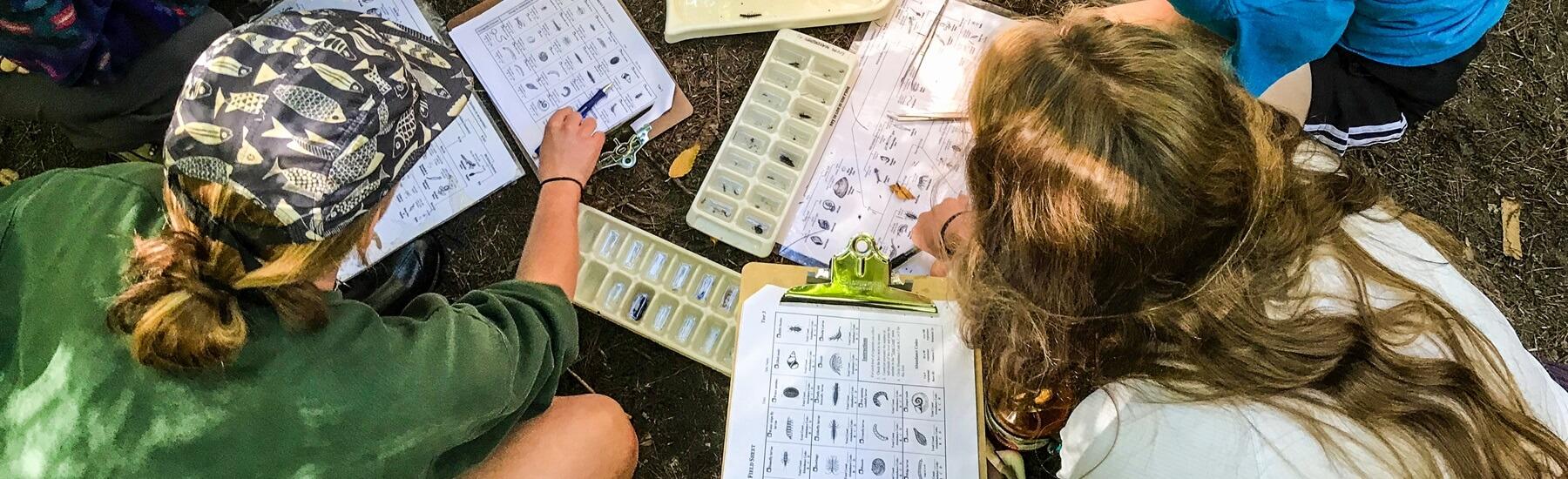 A photo from above of students examining water samples outside