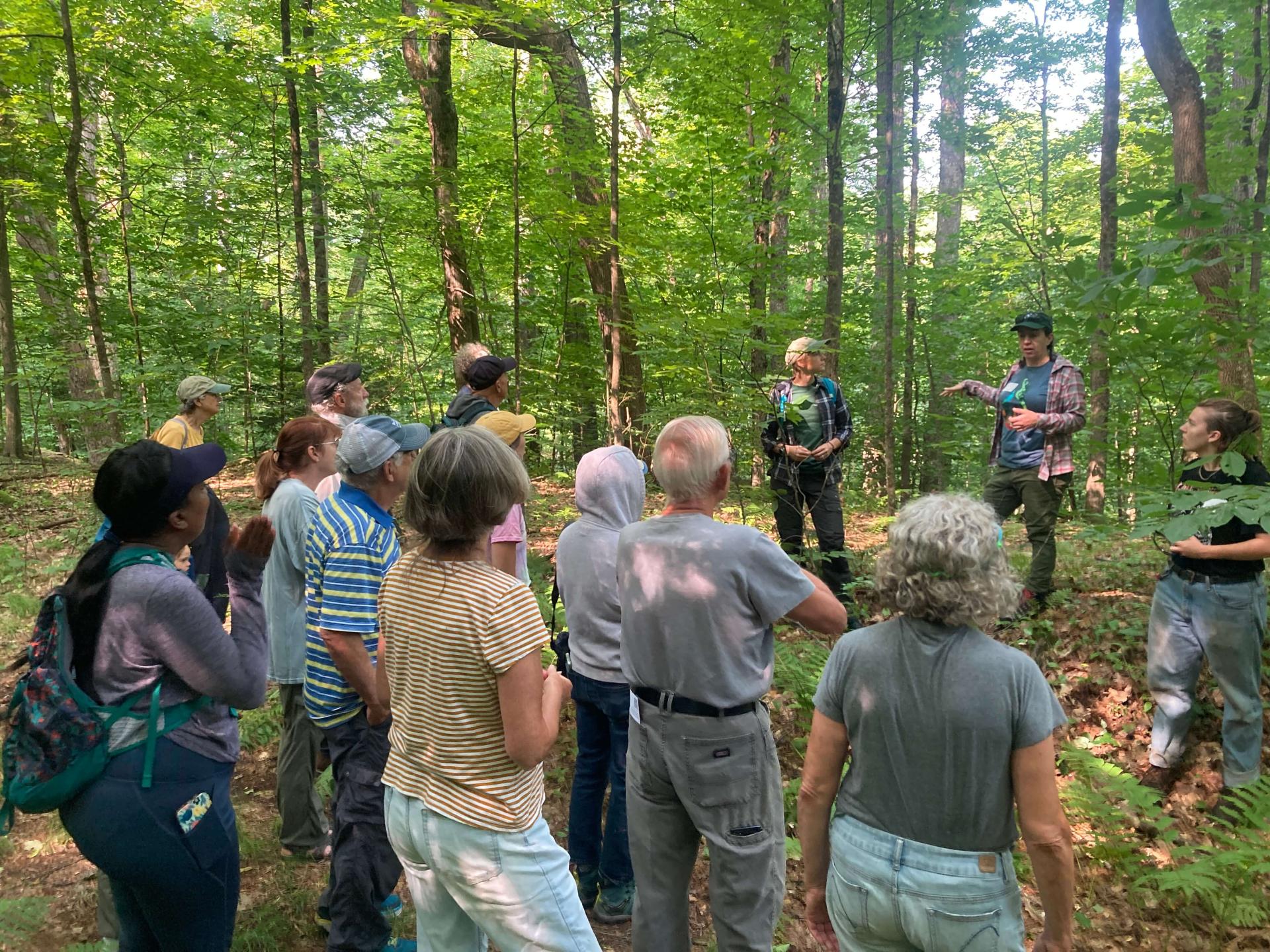 Talks and Walks on UVMs Wild Side