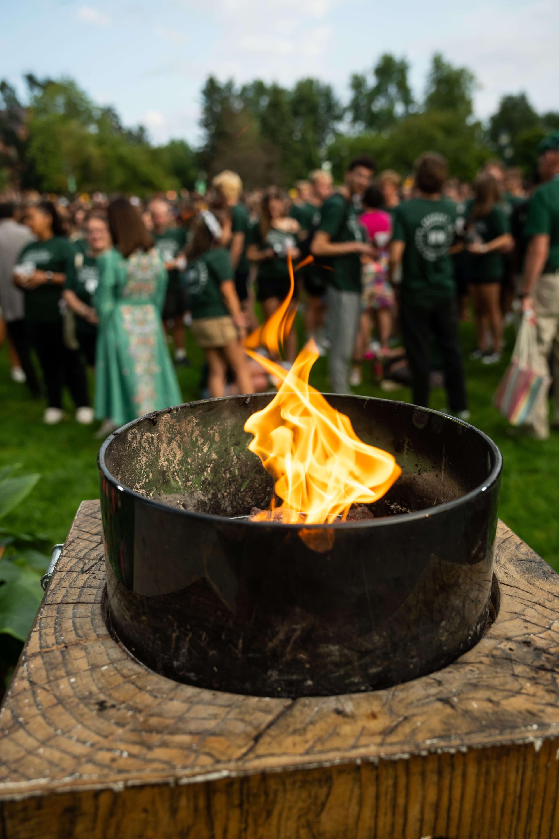 Fire flame at Twilight Induction