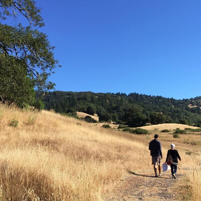 Two people walking on a path surrounded by yellow grasses and a bright blue sky