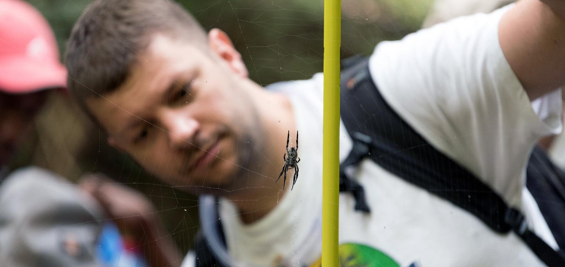 A person looking at a spider to study