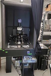 Scientifica HyperScope Multiphoton