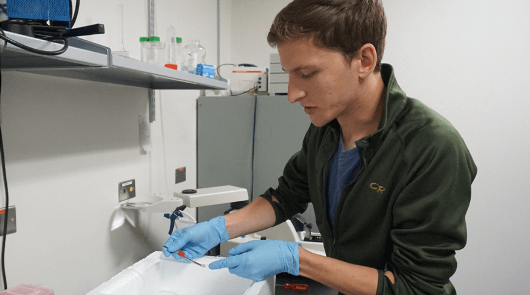 Lab worker doing research