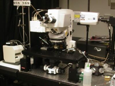 Zeiss LSM-7 Multiphoton