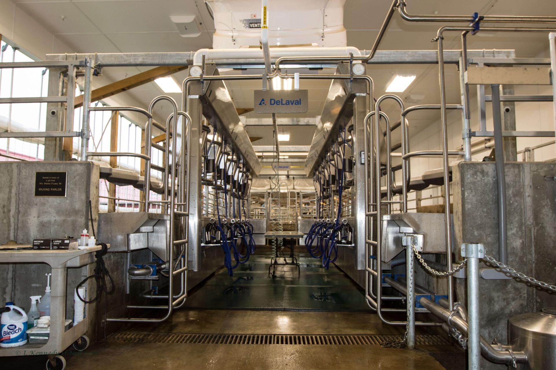 CREAM Milking Parlor 