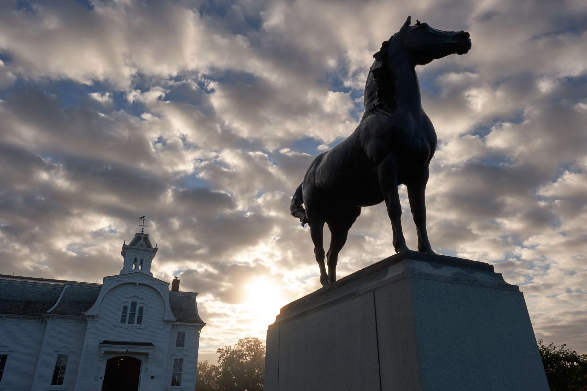 Statue of a Morgan Horse at the farm with clouds behind