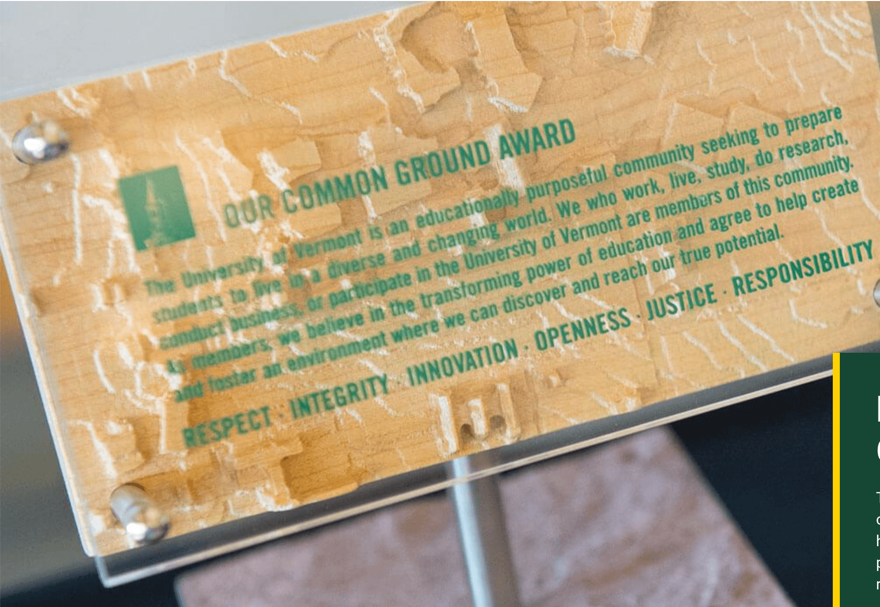 Our Common Ground Staff Award
