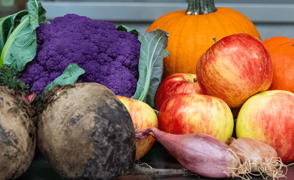 A variety of local produce including apples, beets, cauliflower, and pumpkins