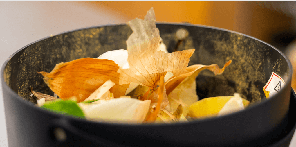 Veggie scraps in a compost bin