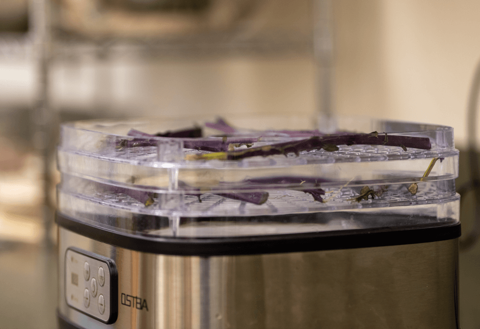 Veggie scraps in a dehydrator