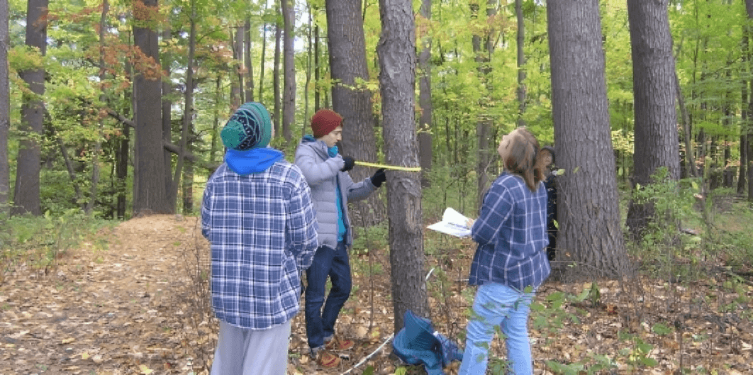 Students identify trees along a transect.