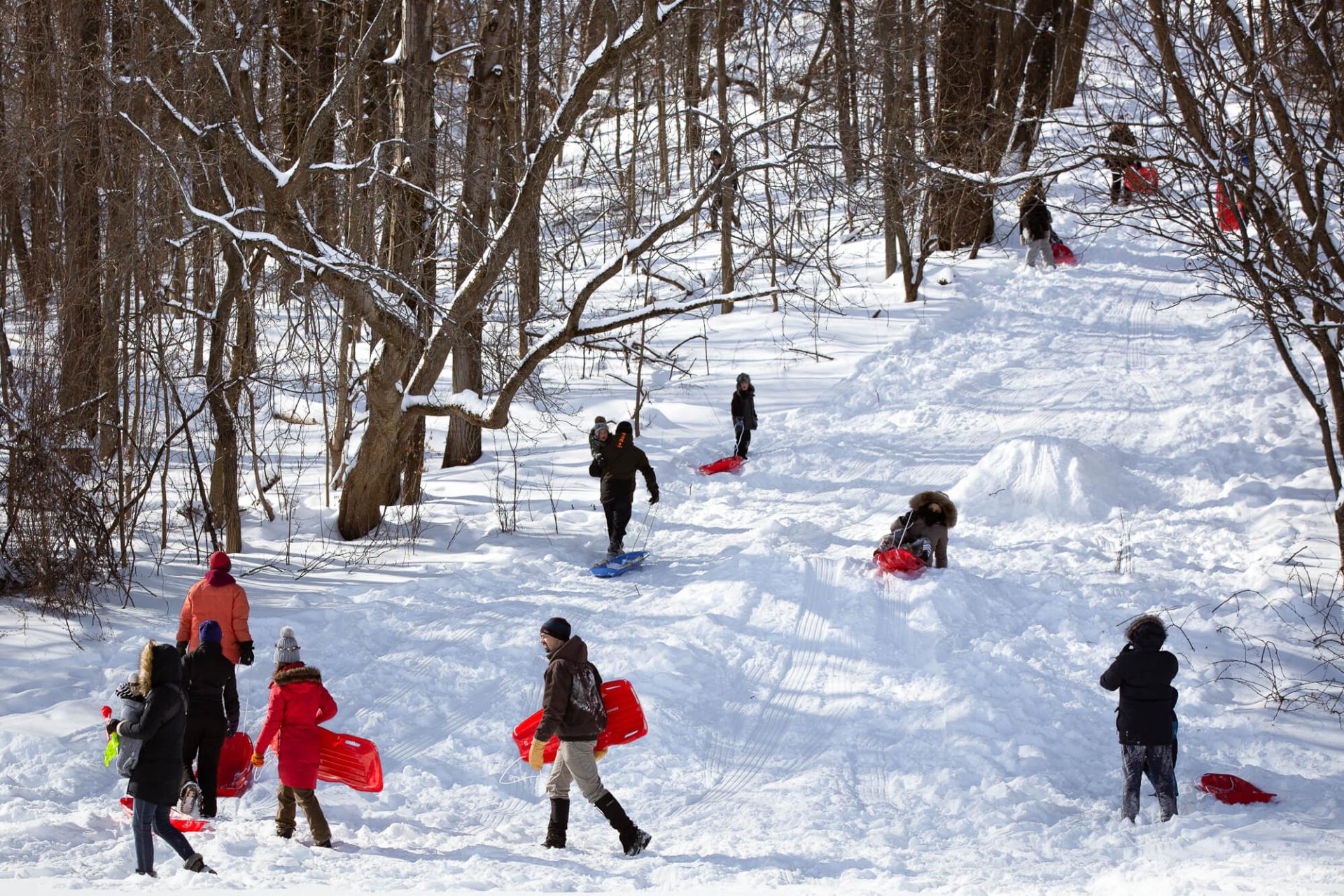 People sledding down a hill in Schmanska Park.