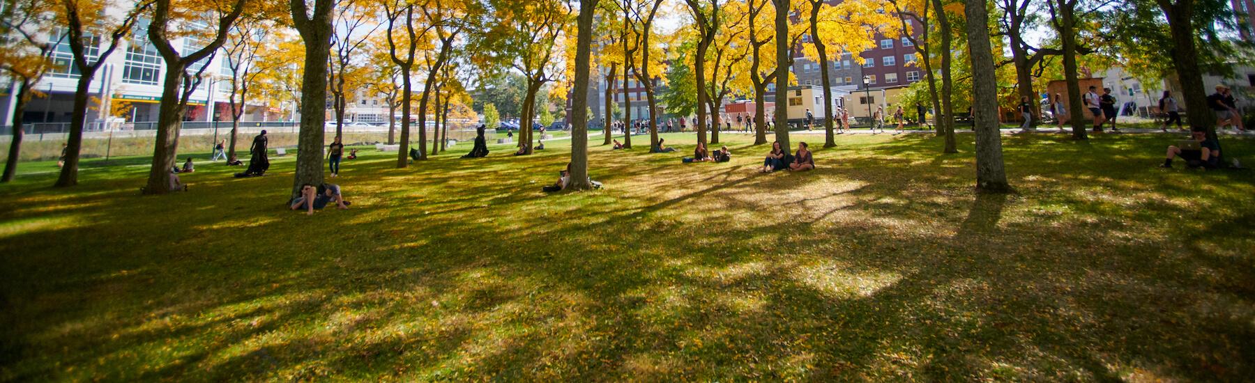 People sitting under trees on a sunny fall day.