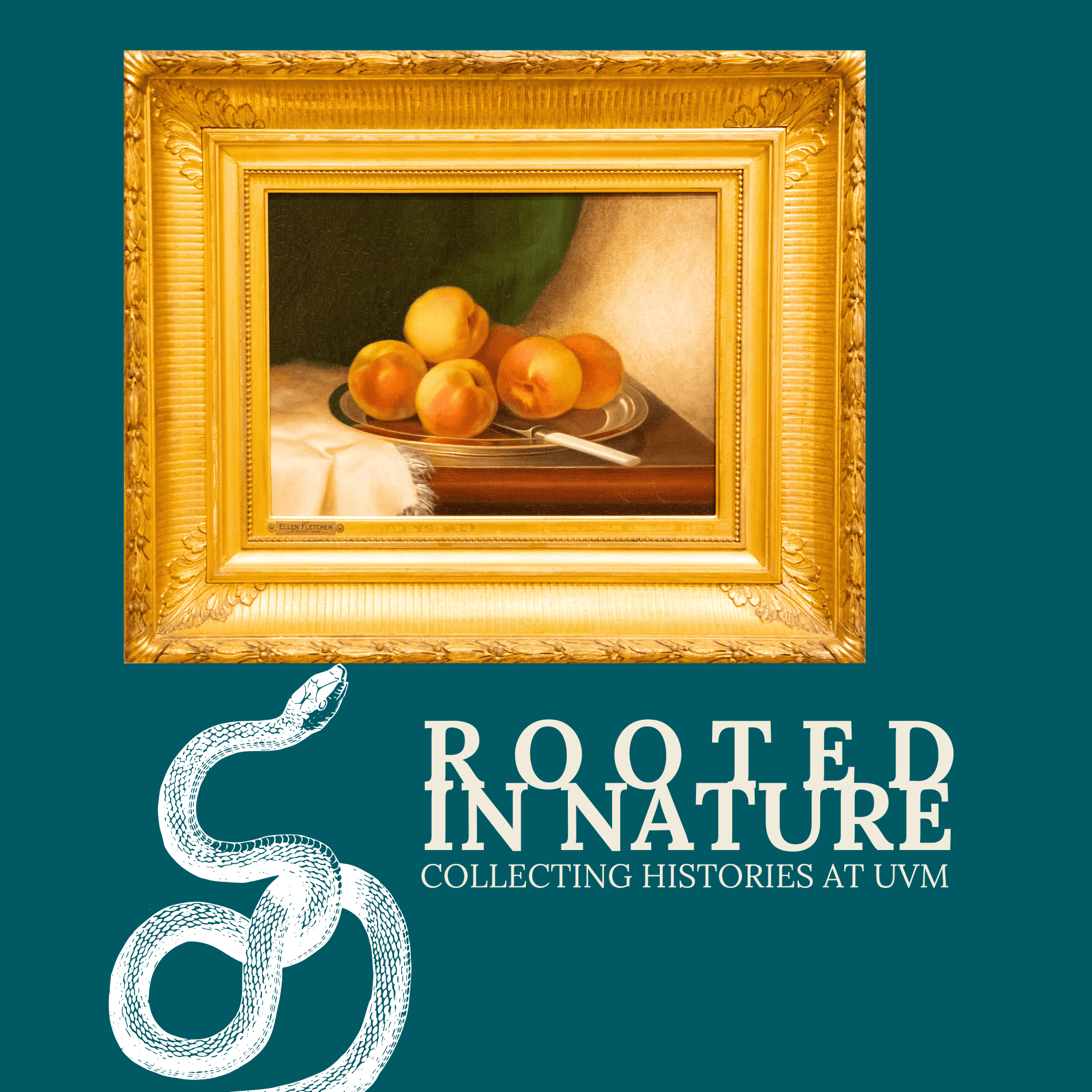An oil painting of peaches with an illustration of a white snake; text reads "Rooted in Nature"