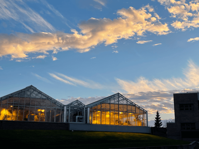 UVM Greenhouses