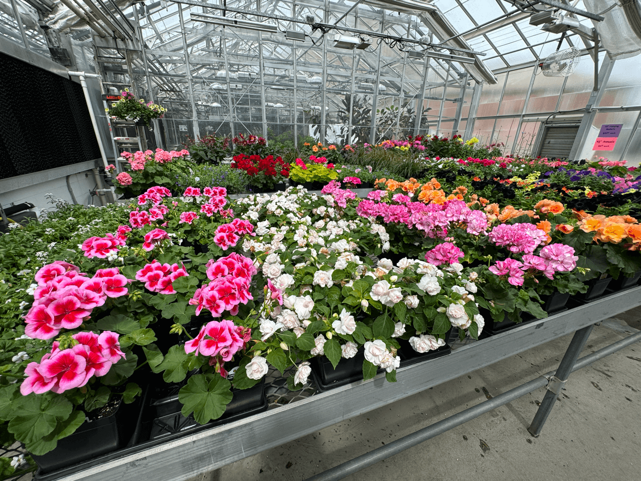 UVM Greenhouses