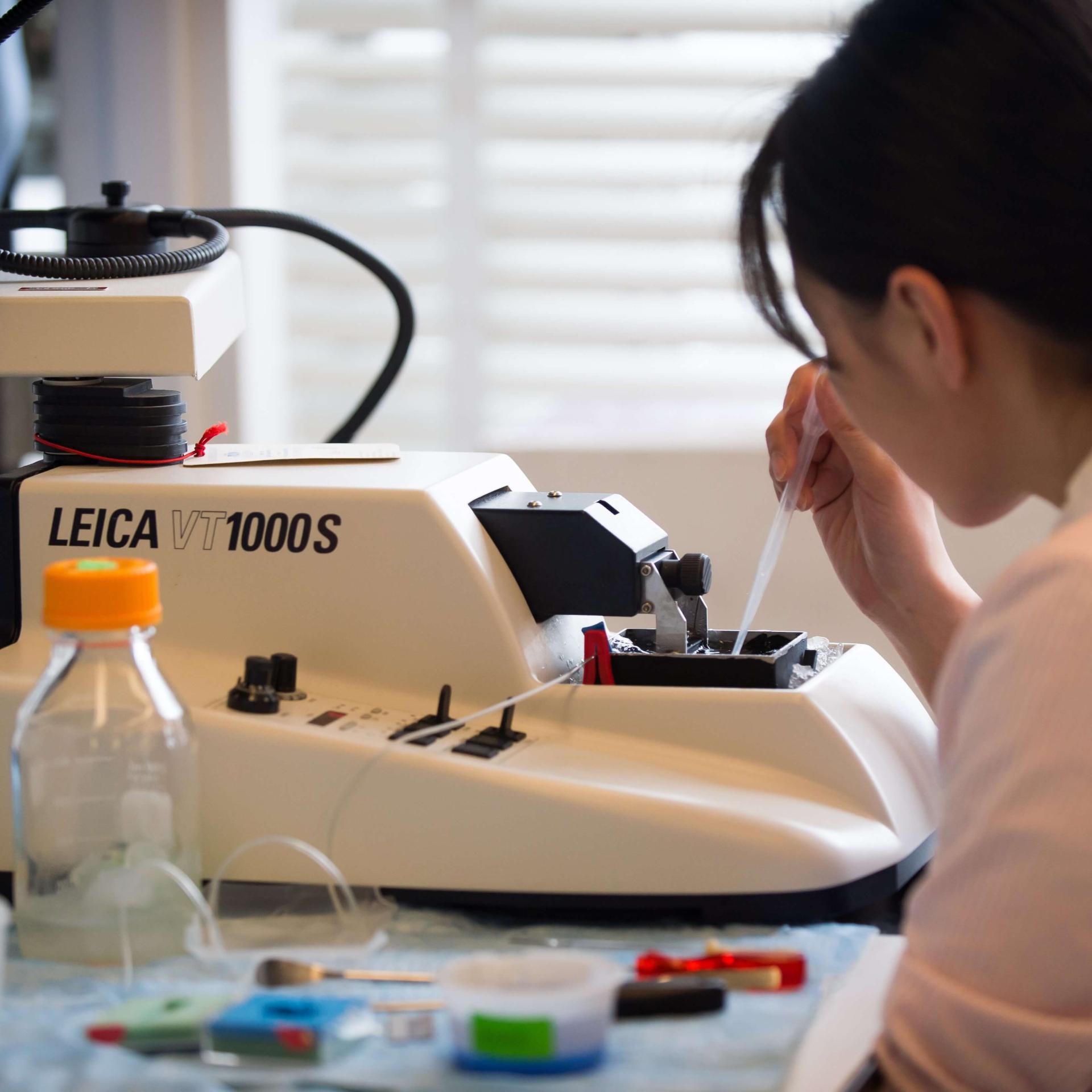 Researcher preparing to view a sample under a digital microscope in lab.