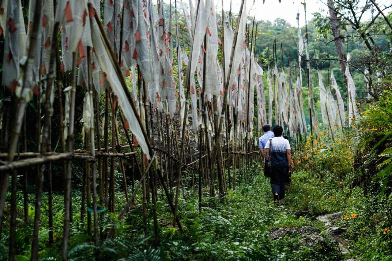 People walking in field in Sikkim, India