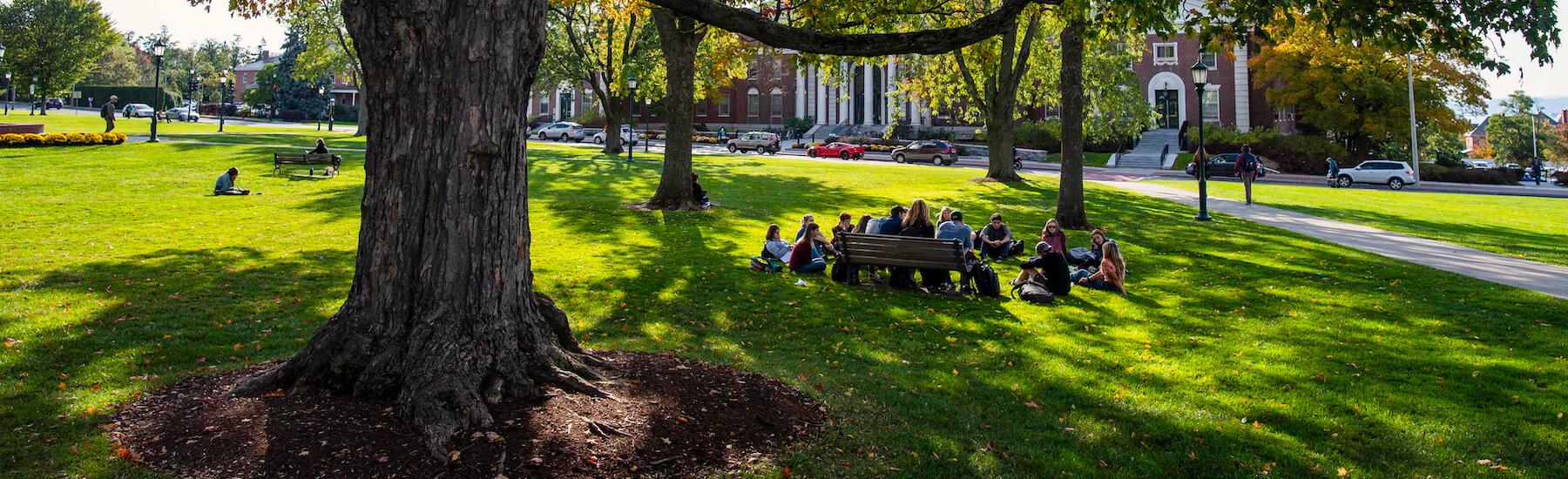 Students and faculty gathered on the UVM Green.