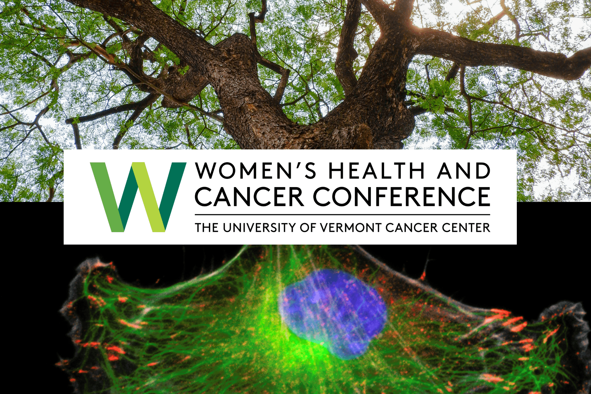 Women's health and cancer conference logo