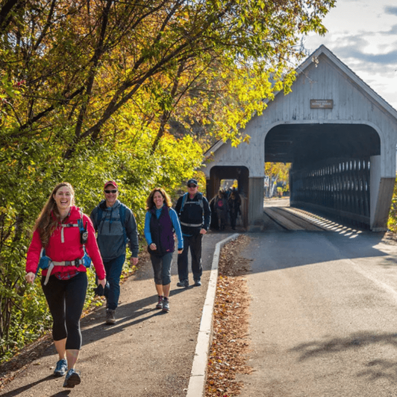 Four people walking along a covered bridge path