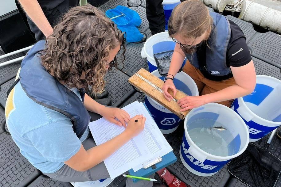 Anna and Mia measuring fish