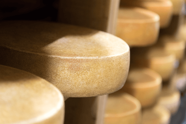 Cheese being aged in a cheese cave