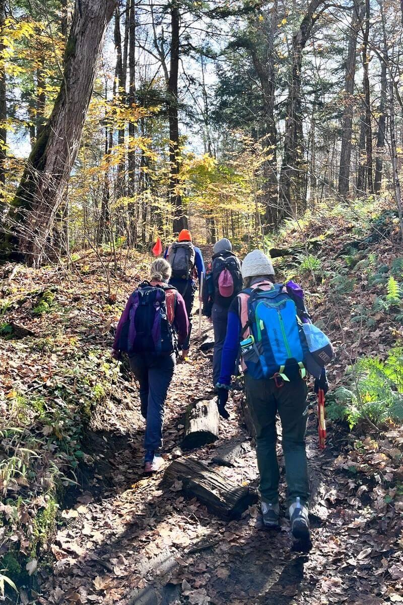Students hiking up a trail in a forest